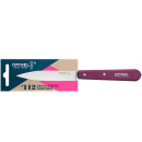 Кухонний ніж 100мм, граб Opinel Paring Plum 112 001914